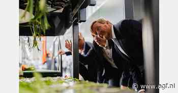 Koning Willem-Alexander bezoekt paprika- en tulpenteler