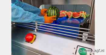 Nieuwe snijmachine voor pompoen, watermeloen en meloen