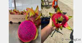 Peruaans dragonfruit verwacht dit jaar toegang tot VS