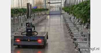 Eerste aardbeien na donkere maanden toch op tijd