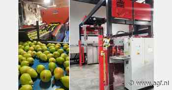 "Wij leveren onze peren aan de retail mede dankzij Nederlandse sorteerlijn en robot"