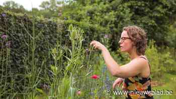 Juiste planten en gezonde bodem: tuin- en landschapsarchitect Karlien Herremans geeft workshop op 20 maart