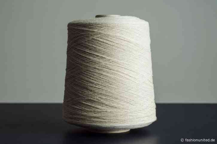 Nach Woodspin-Rückzug von Suzano: Spinnova prüft Strategie