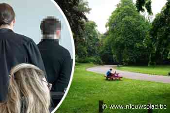 40 maanden cel voor carjacking vlak bij Citadelpark: “Mevrouw (80) zit sindsdien elke dag met schrik”