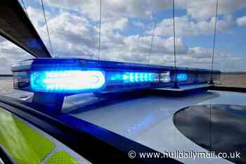 Man and woman in custody after 'kidnap attempt'