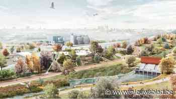 Nieuwe plannen voor toegangsplein Lakborslei in toekomstig Ringpark Het Schijn