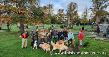 Council shows 'little regard for democracy' with new cemetery dog rules