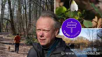 Een mysterieus lusthof tussen de bosanemonen: op lentewandeling in het Schildehof