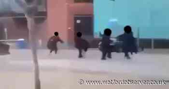 Boy, 16, arrested over 'robbery' after video of 'fight' outside college