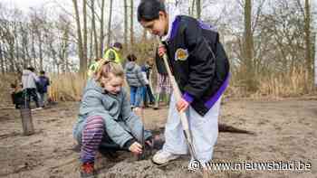 Leerlingen basisschool De Bel planten 250 bomen op terrein in Muizen: “Beter voor de dieren die er leven”