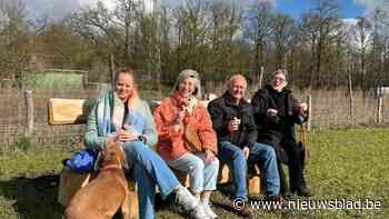 Mol opent hondenlosloopzone van 2,5 hectare: “Grote nood aan terrein waar honden kunnen socialiseren”