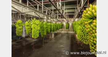 "Deelname aan Biofach belangrijke eerste stap voor nieuw exportproject"