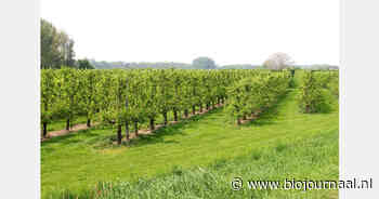 Italië heeft op twee na grootste bio-areaal in EU