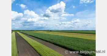 Provinciale bio belangenbehartiging Biohuis op stoom