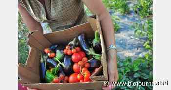 Langetafeldiners aan de rand van biologische tuinderij Het Kleverland