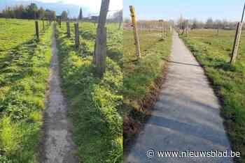 Voetweg in Essene vrijgemaakt na tussenkomst oppositie