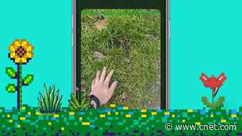 TikTok Screen Time Out of Control? Go Touch Grass and Use This App to Block It