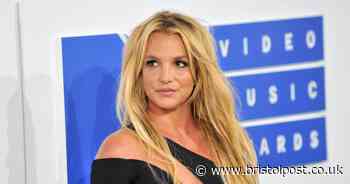 Health trend 'adored by Britney Spears' uses horses to aid therapy