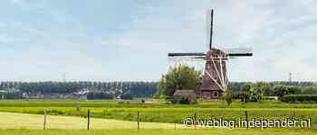 Lage rente? Zet je spaargeld over de grens