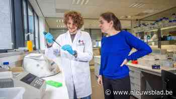 UHasselt-prof werkt aan combinatietherapie voor alzheimer: “Ik geloof dat de ziekte afremmen mogelijk is”