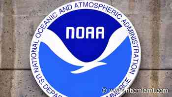 DOGE lease cancellations: Which government offices in South Florida could close and when