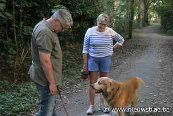 Sint-Niklaas doet gooi naar titel ‘Wandelgemeente van het Jaar’