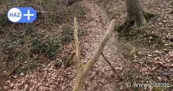 Selbstjustiz im Wald: Eskaliert jetzt der Deister-Zoff in der Region Hannover?