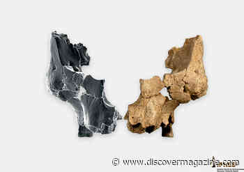 1.4 Million-Year-Old Hominin Is the Oldest Face of Western Europe