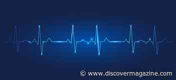 How Your Smartphone Camera Could Track Your Heart Rate