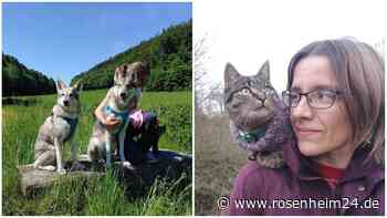 Vom Sofa ins Rampenlicht: Wie Hund Cheveya und Katze Mika aus Soyen die Leinwand erobern