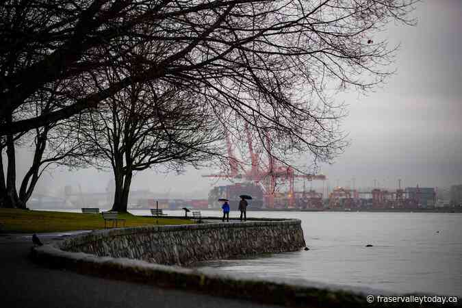 Teen dies after car crashes into tree in Vancouver’s Stanley Park