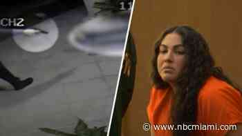 Ex-school cop caught on video shooting deputy pleads guilty, gets decades in prison