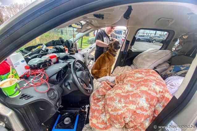 Benjamin (32) en Zoë (26) leven al vier maanden in auto op parking langs E40: “De hond doen we niet weg. Dan hebben we niets meer”