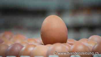 USA bitten Länder in Europa um Eier