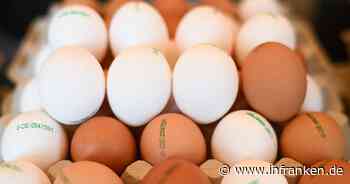 USA bitten Länder in Europa um Eier