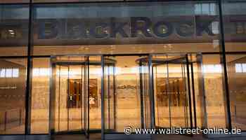 Wie Warren Buffett: 1 Ausnahme-Investor, der diesen Weltmarktführer für 495.941.042 USD gekauft hat