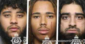 Masked gang lured music producer thousands of miles to Wales, beat him and left him handcuffed to radiator