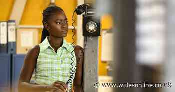 Inside Death In Paradise season 14 episode 7's guest stars as BBC drama's penultimate episode airs