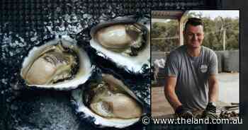 Millions of dollars on the line from 'unknown' disease, farmers want support