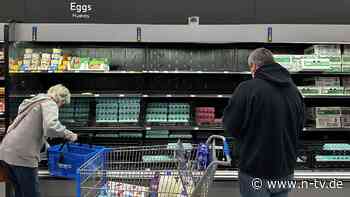 Bitte um mehr Exporte: Europa soll Eier-Knappheit in den USA lösen