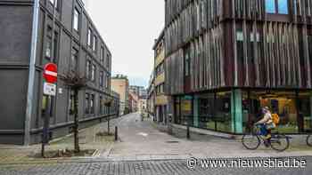 Eerste tuinstraat in Hasselt krijgt vorm