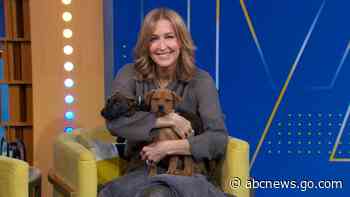 WATCH:  New research on the bond between you and your dog