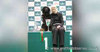 Dog and owner from Herts become Crufts champions
