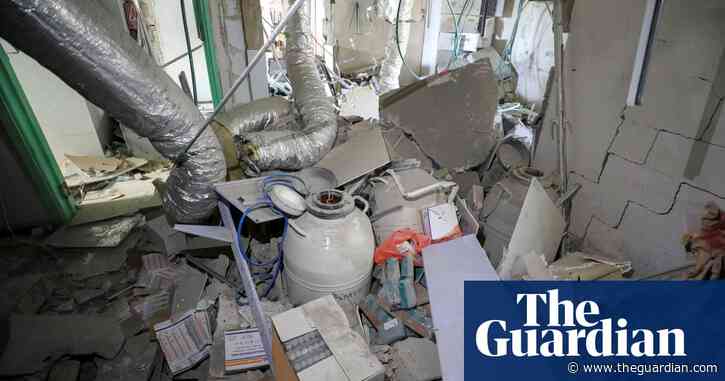 Israeli attacks on Gaza maternity wards and IVF clinic ‘genocidal acts’, says UN