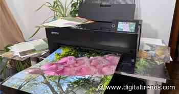 Epson SureColor P900 review: a photographer’s printer with poster-size prints