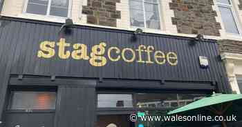 Live maggot larvae and fly infestations at Cardiff coffee shop once popular with students