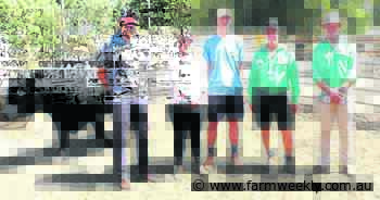 Buyers response to quality offering from Whispering Pines at Busselton sale