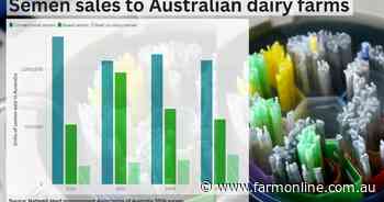 Dairy-beef semen sales lift as dairy farmers look to cash in on opportunity