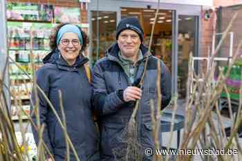 “Net als in de boomgaard van mijn grootouders”: 50.000 lezers halen gratis notelaar op