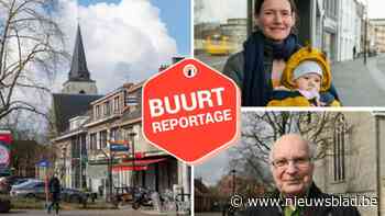 Hove kent grootste bevolkingsdaling van provincie: “Huizenprijzen zijn hallucinant”